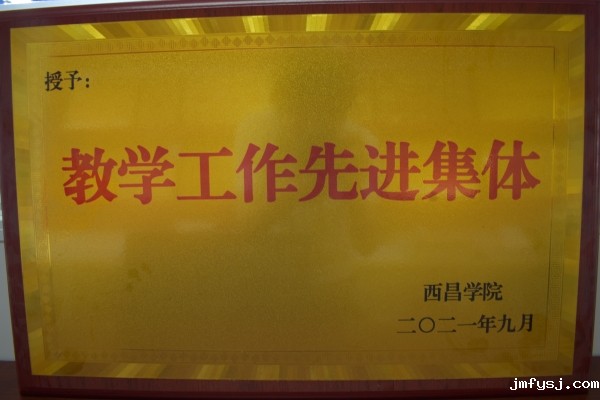 2021教学先进集体2021