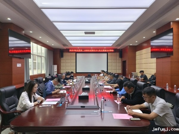 2025.6.25巡察意见反馈会2